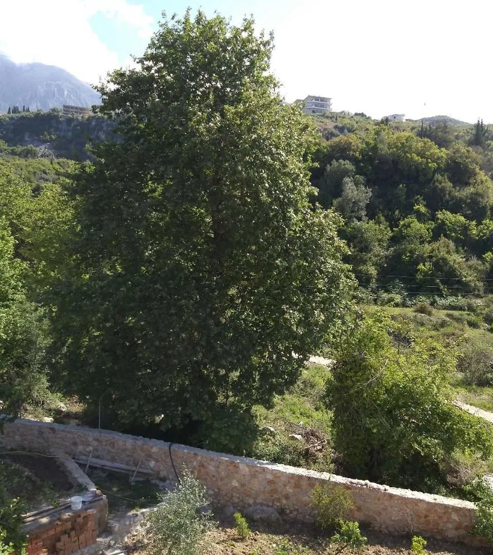 Hotel Afrodite Dhërmi